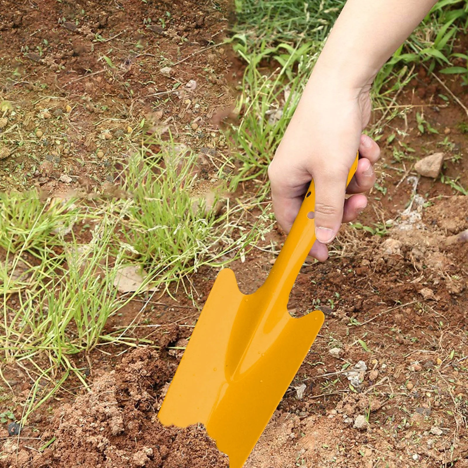 Bnnlsa Seed Disseminators Garden Mini Colorful Hand Shovel Set Garden Light Duty Tool Miniature Succulent Indoor Outdoor Care for Flower Soil Plant Transplant Kid Teen Women Men Gardening