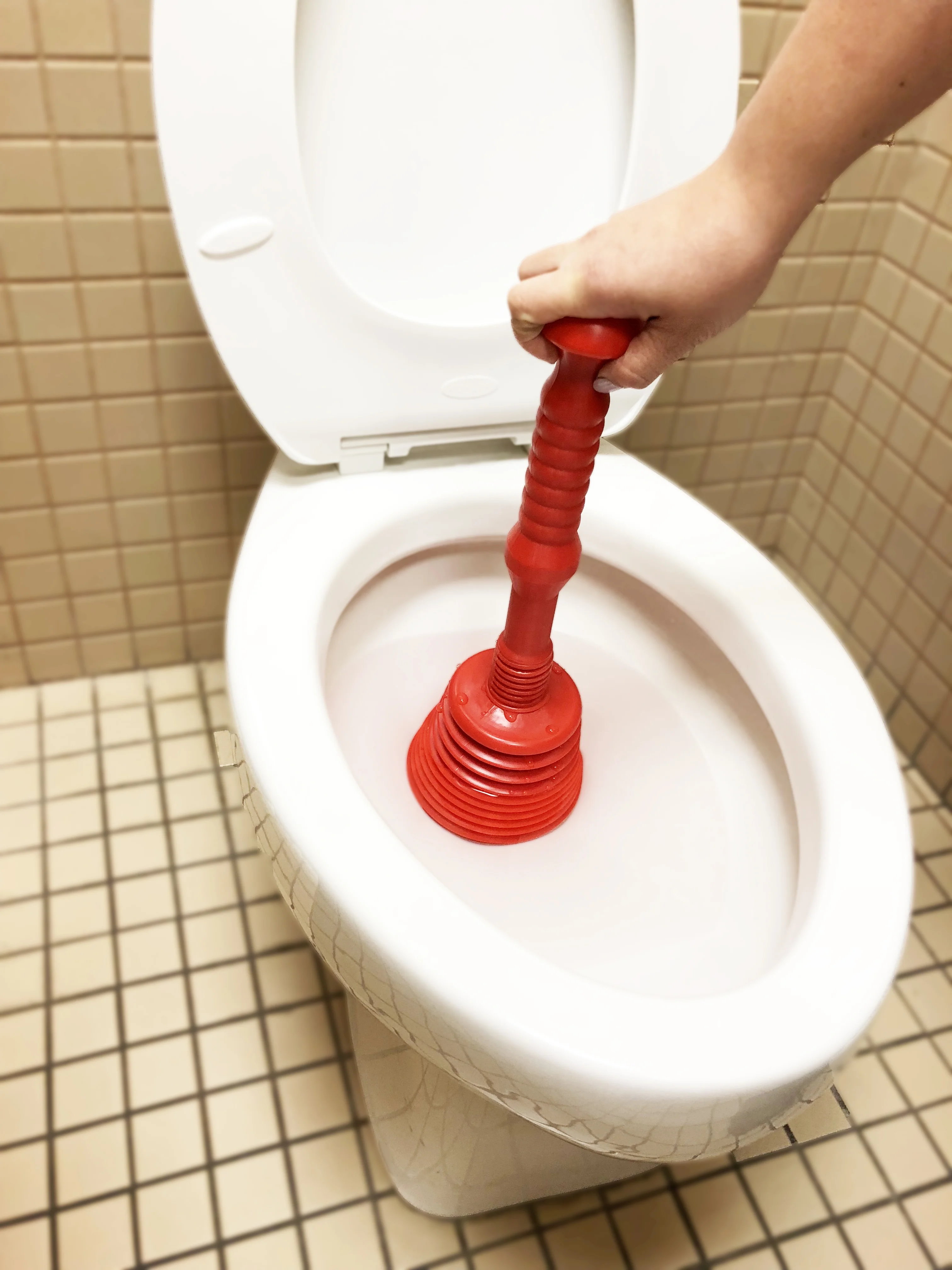 THEWORKS® Red Bellow Plunger