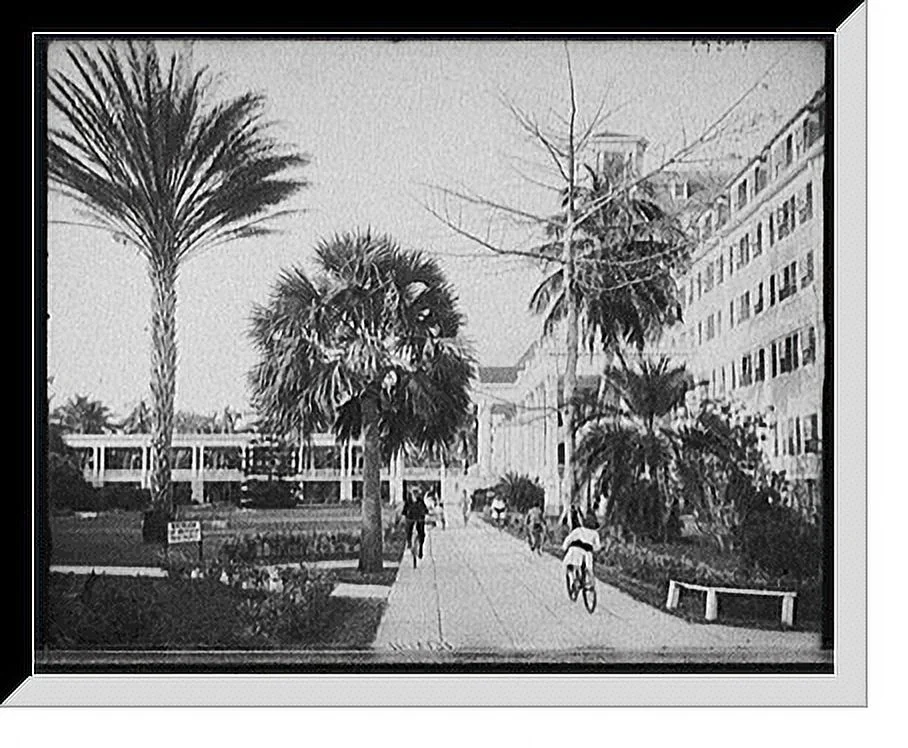 Historic Framed Print, [Along the west facade, Royal Poinciana, Palm Beach, Fla.], 17-7/8
