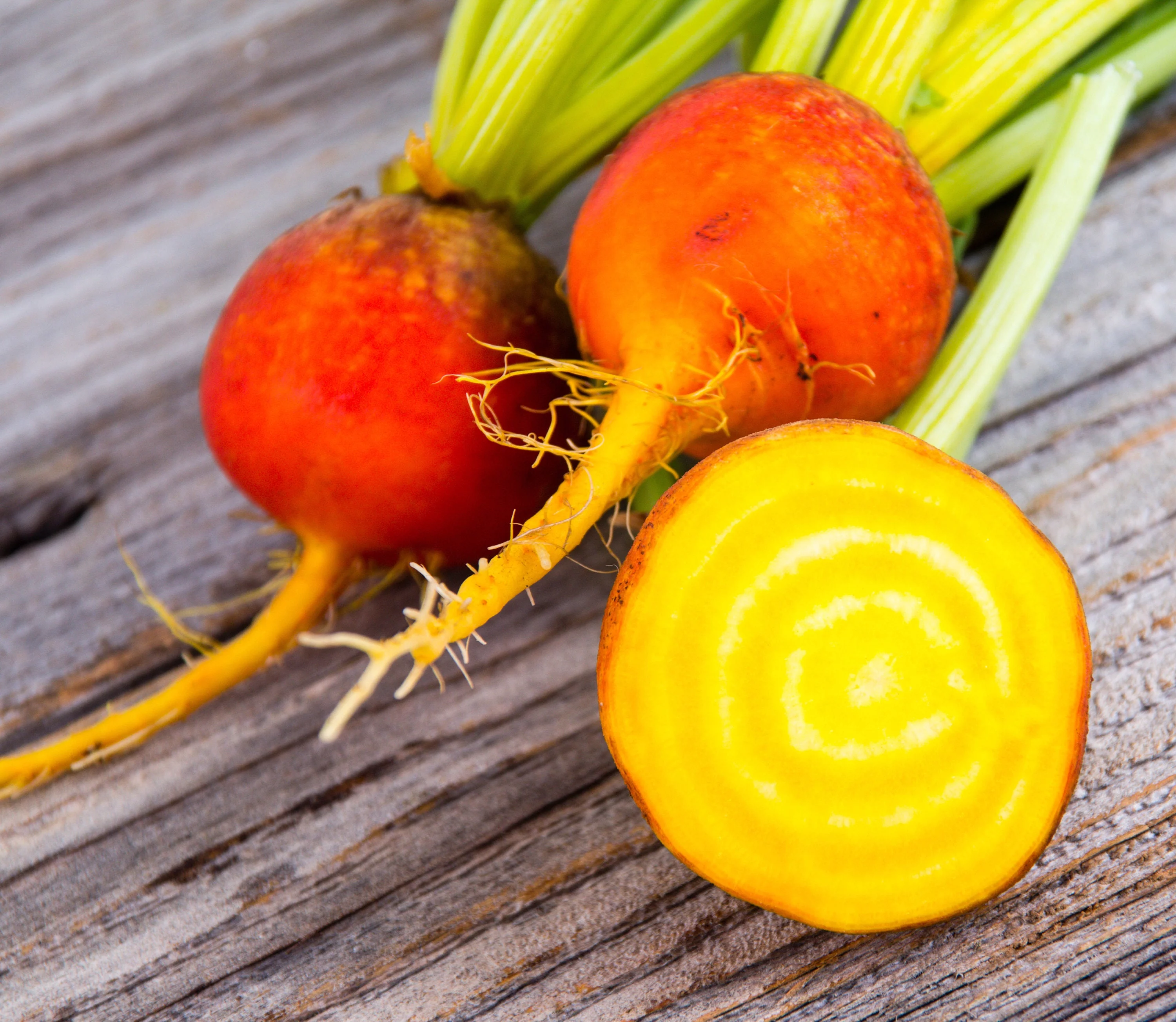 Burpees Golden Yellow Beet Pickling Pickled Heirloom Premium Seeds Packet