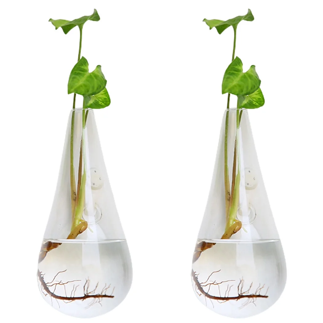 Wall Hanging Planter Modern: 2PCS Decorative Glass Planter Flower Vase Plant Pot