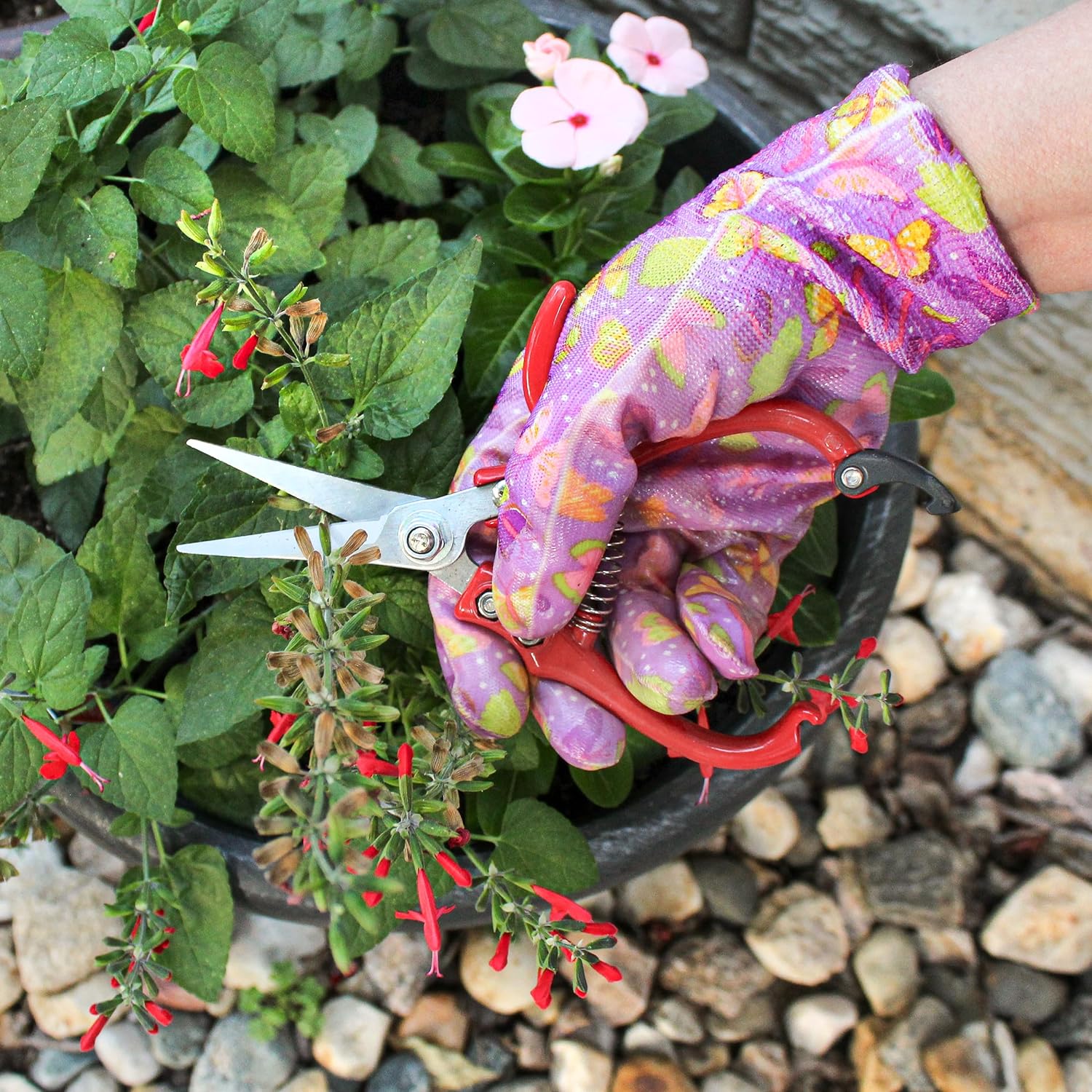 Garden Pruning Shears - 2pc Straight and Curved Blade Gardening Hand Tools with Red Ergonomic Grip Handles