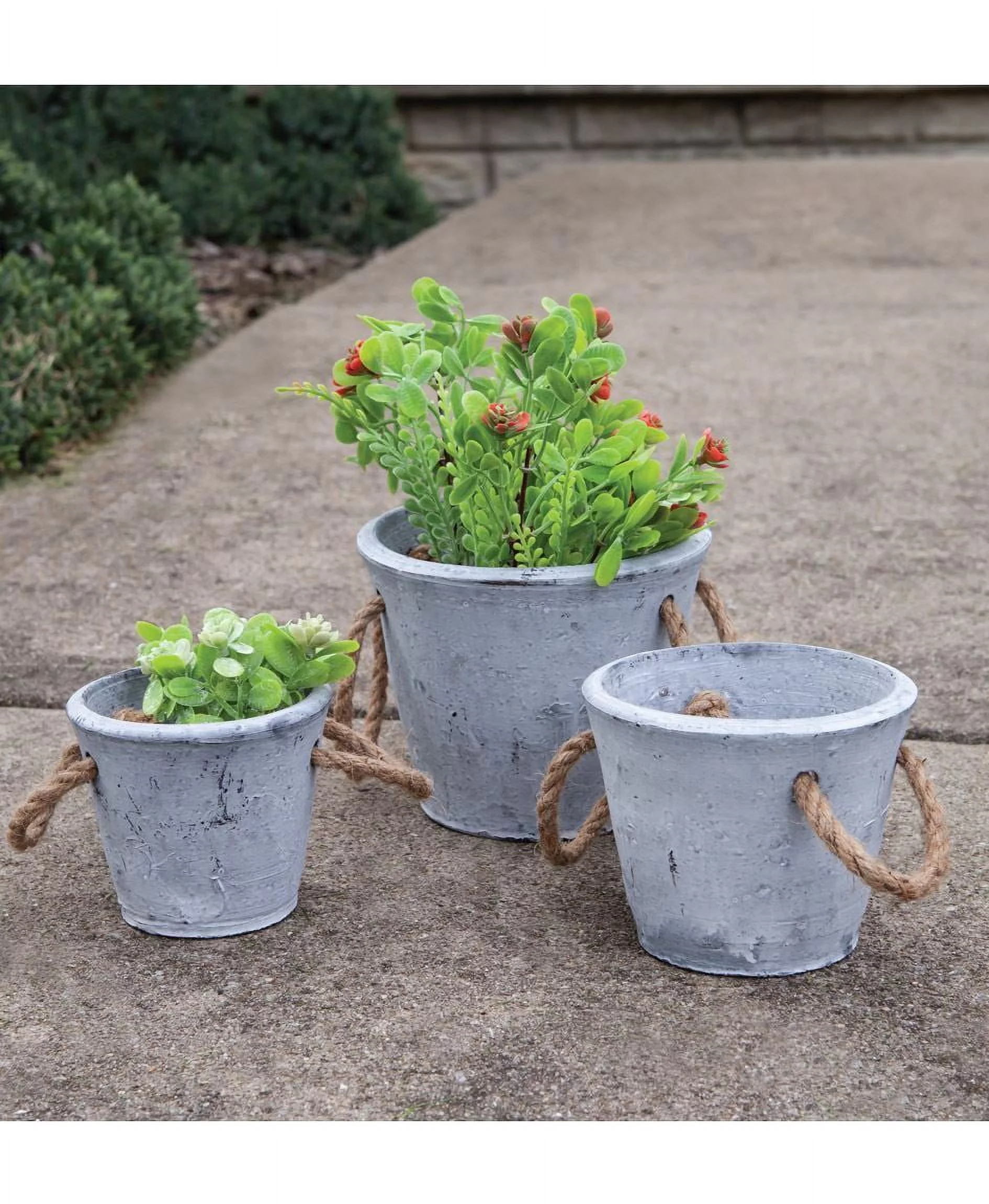Medium Cement Planter With Jute Handles (Pack of 4)
