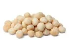 Premium Salted Macadamia Nuts - Fresh & Delicious ~1lb BAG ~SHIPS FREE