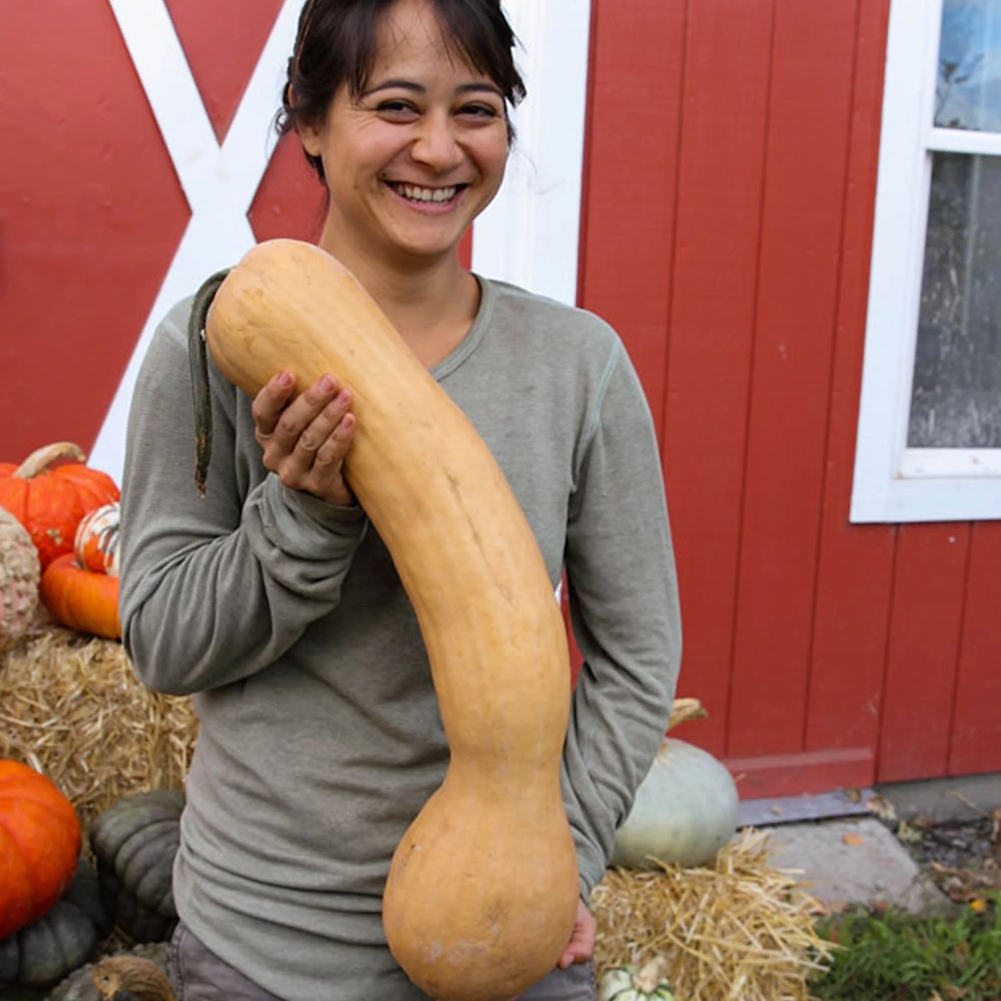 Organic Tahitian Squash Seeds - 2 Grams ~15 Seeds - Organic, Heirloom, Open Pollinated, Non-GMO, Farm & Vegetable Gardening Seed - Winter Butternut