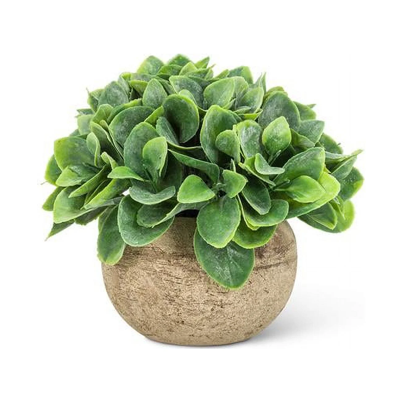 Abbott Collection AB-27-WOODHILL-21 5.5 in. Spade Leaf Plant Pot, Green - Small