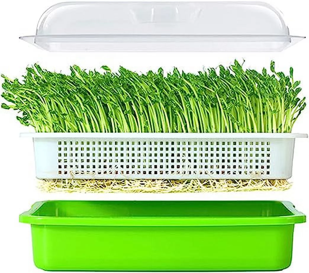 Nvzi Seed Sprouter Tray with Lid BPA Free Bean Sprout Grower Germination Kit Wheatgrass Grower