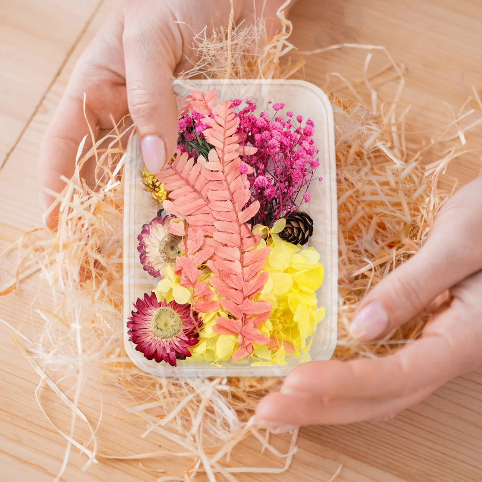 HALJEN Artificial Flowers for Decoration Wall Hanging 1 Box Real Dried Flower Resin Fil Expoxy Flower for Epoxy Resin Jewelry Making Craft Diy Supplies Accessories (Forget Me Not)