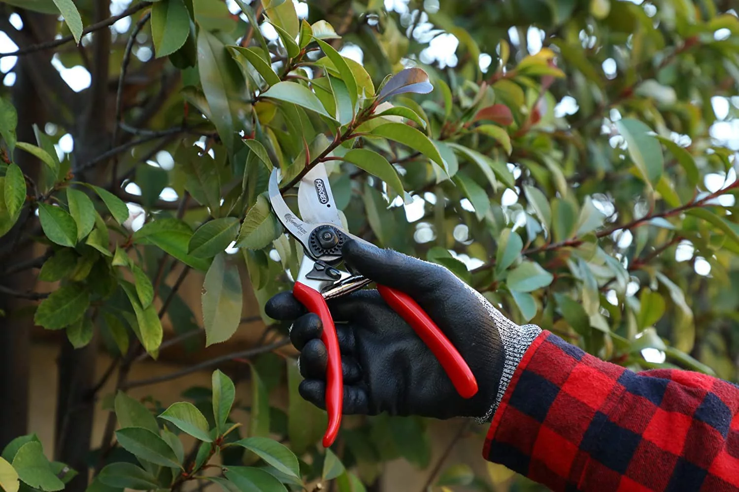 Kamikaze 9717 KM-5 Forged Professional Thin Hand Pruning Shears for Gardening