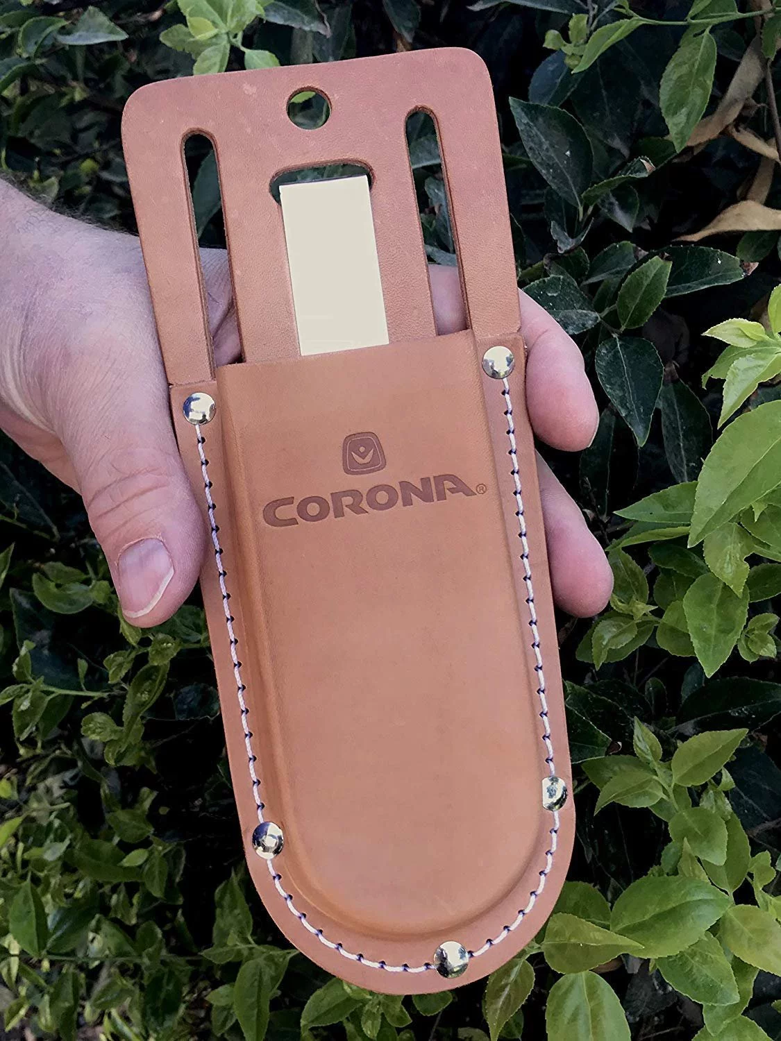 Corona AC 7220 Leather Pruner Scabbard Holster, 5-Inch
