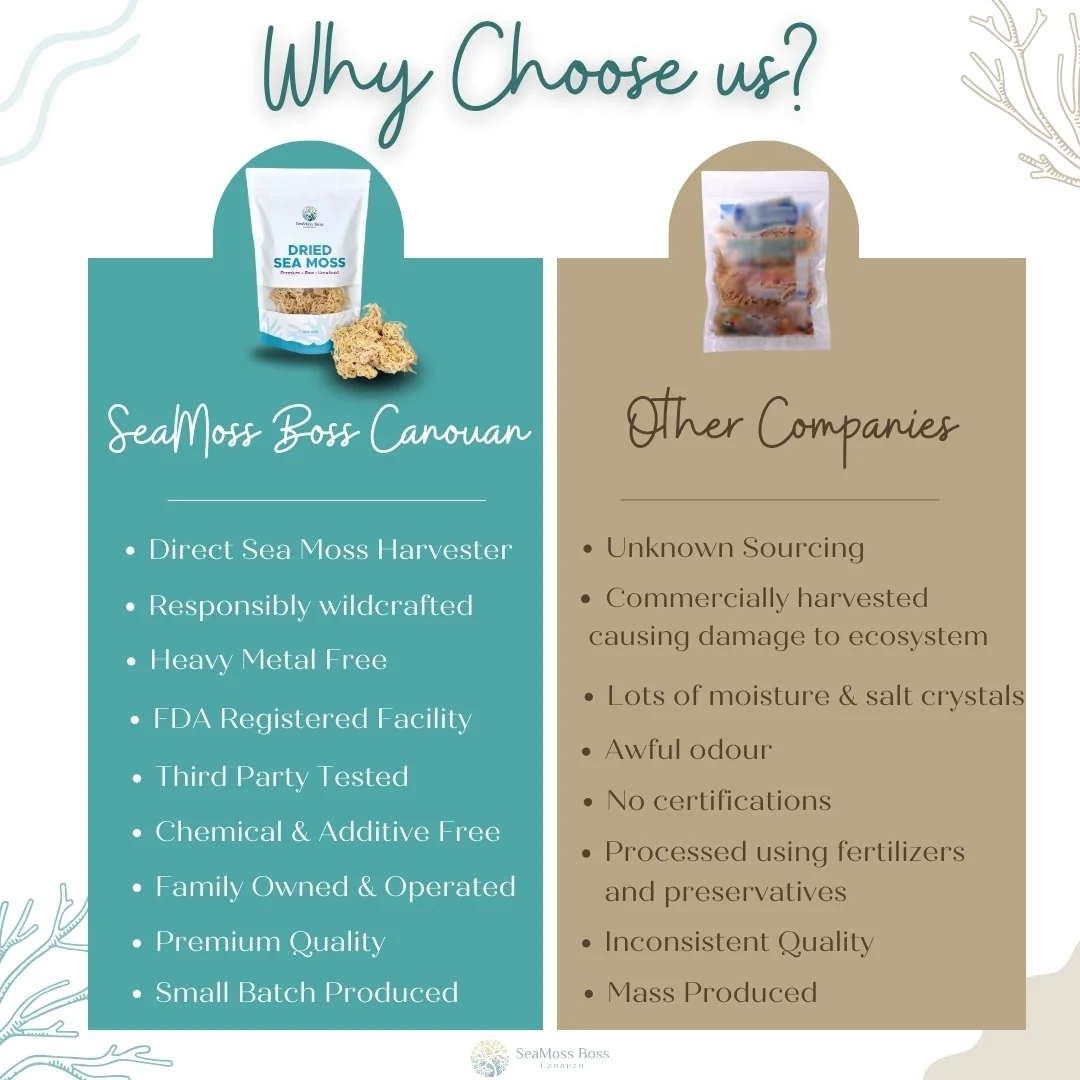 Full Spectrum Sea Moss