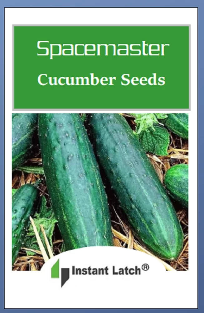 50 Spacemaster 80 Cucumber Seeds | NON-GMO | Fresh Heirloom Garden Seeds