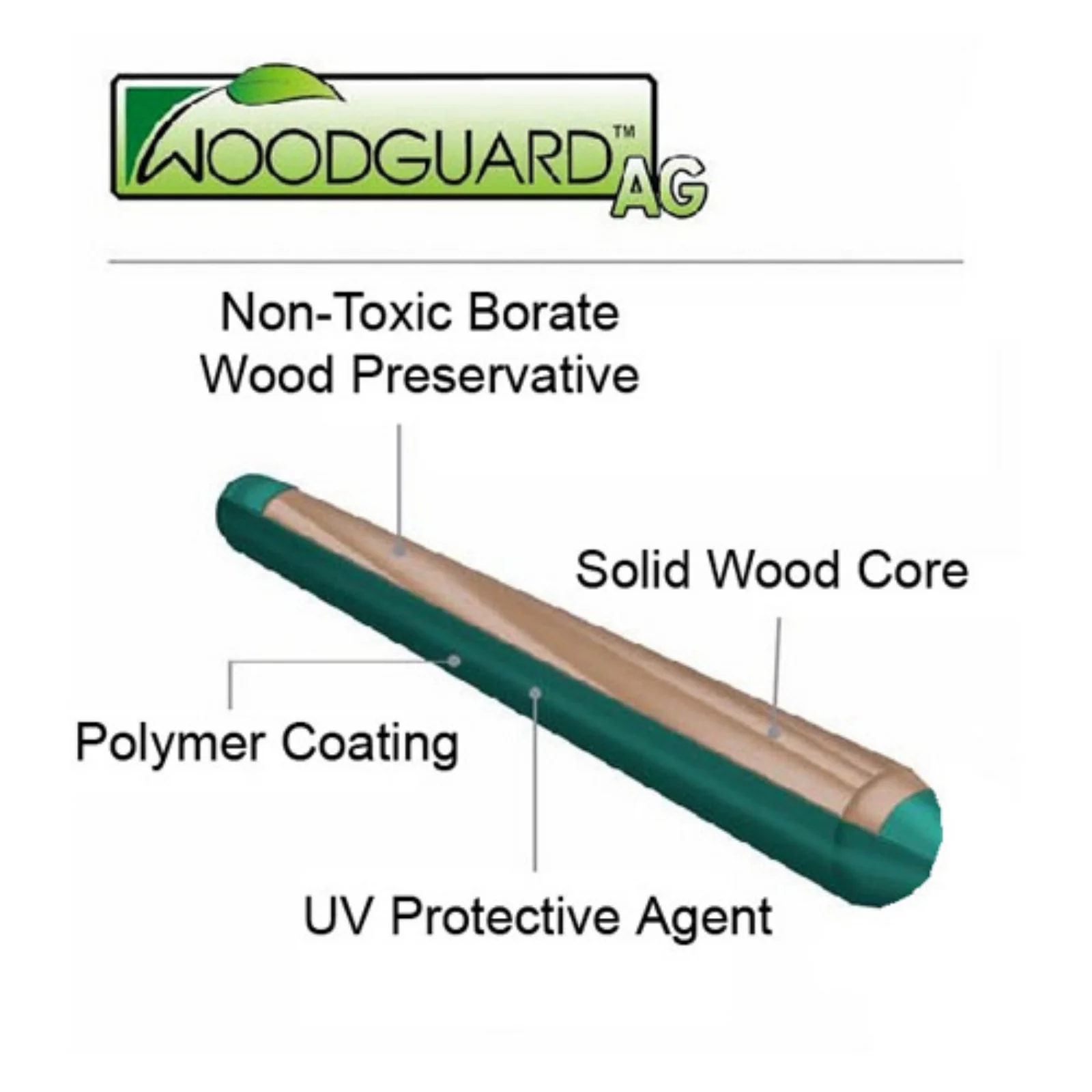 Congo Monkey Playsystem #1 with Swing Beam - Green and Sand Low Maintenance Play Set - Made in The USA - Polymer Coated Playset