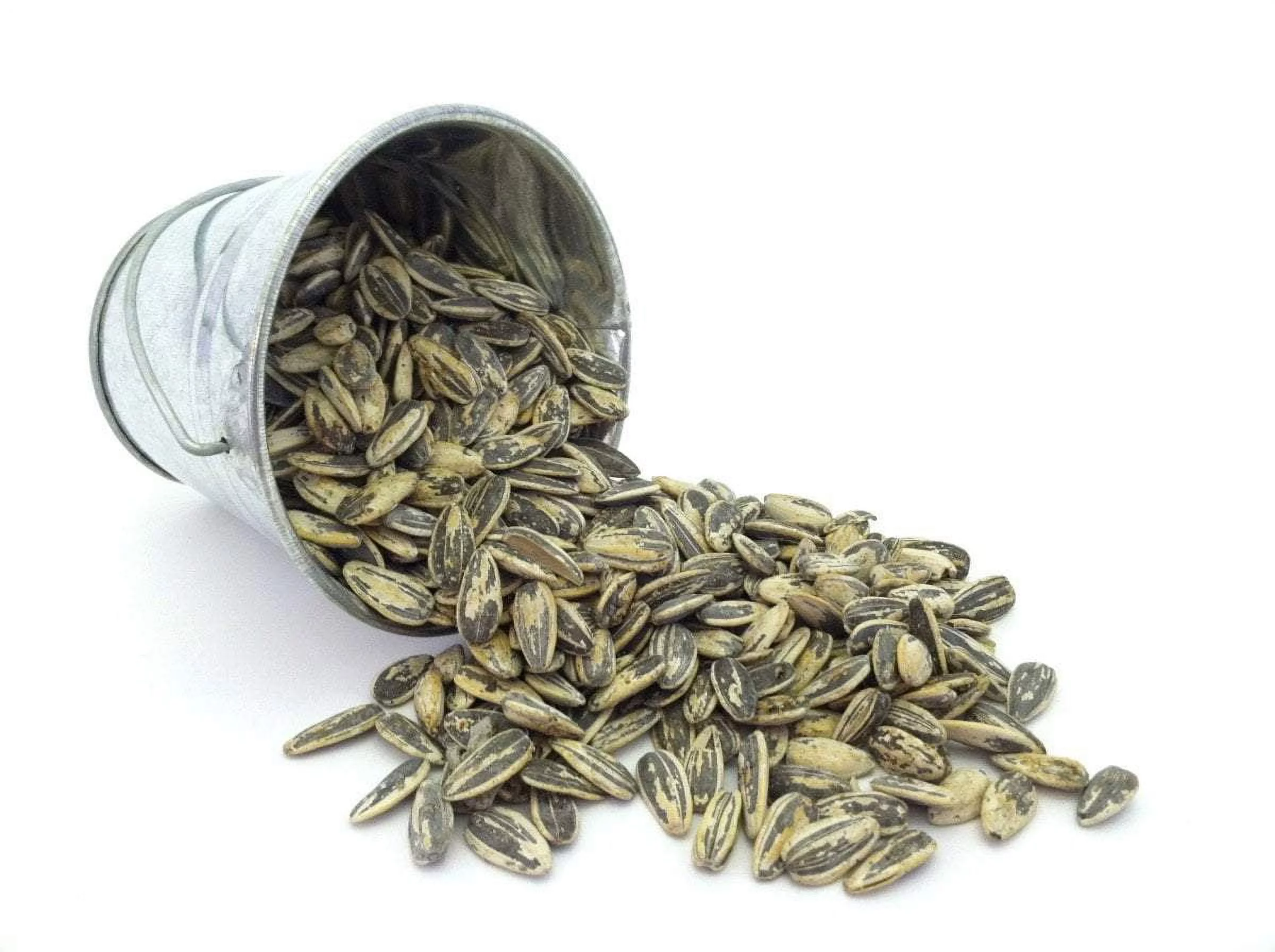 Premium Roast Sunflower Seeds - Roasted Garlic