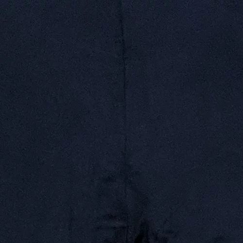 Chinese Eggplant Seeds USA Long Purple Eggplants Aubergine Asian | Garden Seeds