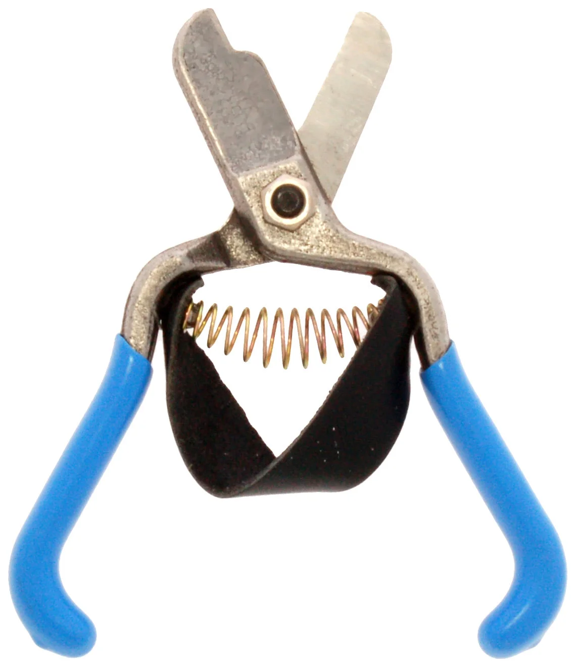 Zenport H322-3PK Fruit Shears with Strap, Lemon Citrus Clipper, 5.5-Inch