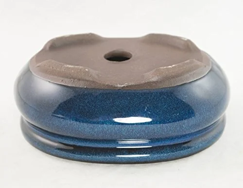 Oval Mame Shohin Bonsai/Cactus & Succulent Pot + Mesh 5