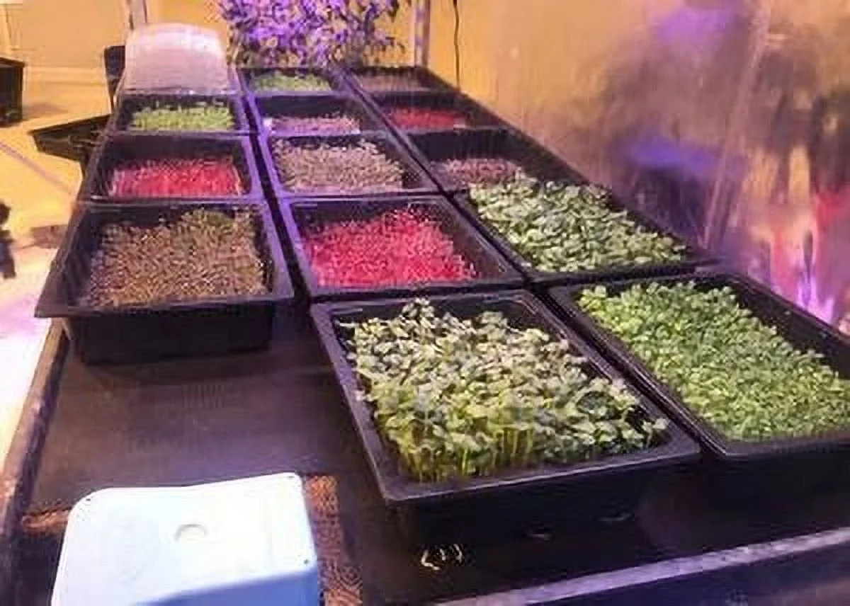 Autopot Tray2Grow System - Standard Set up