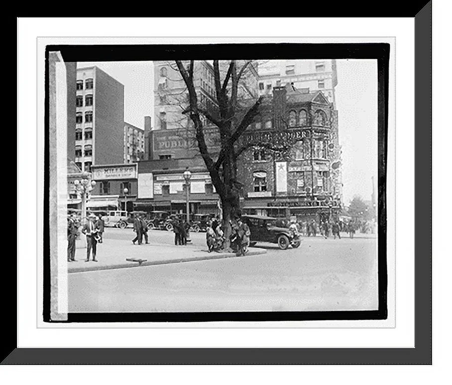 Historic Framed Print, Morse Elm, 5/13/21, 17-7/8