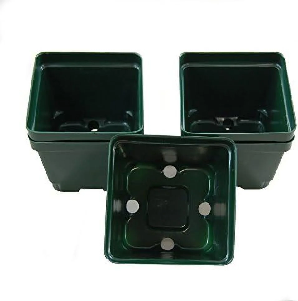 Greenhouse Pots - 4 Inch Square - 3 1/2 Inch Deep Pots - Green - Plastic - 50 Pack By Growers
