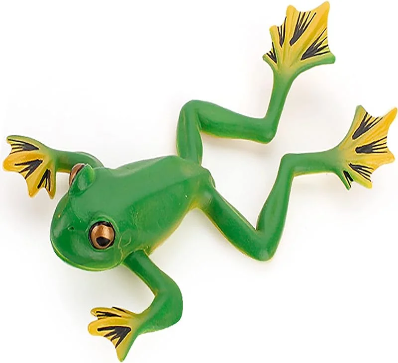 ANNECOSK Wildlife Animal Frog Model Tree Frog Figure Toy for Boys Girls Kids 5 6 7 8 Year Old