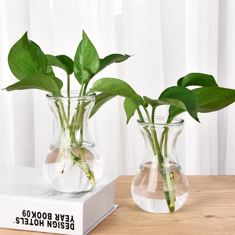 Hymersery Hydroponic Bottle Creative Simple Glassware Green Loopolytic Flower Flower Plant Pot Basin Living Room Putacle Platbar Plutin 2 Pack Intermediate