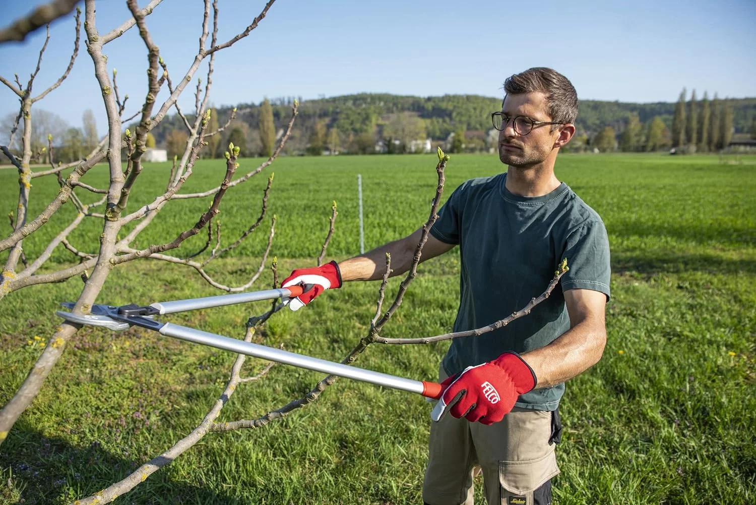 F231 231, Two-Handed, Lever-Action, Long Lopper, Style, Anvil Curved Blade, Red/Gray