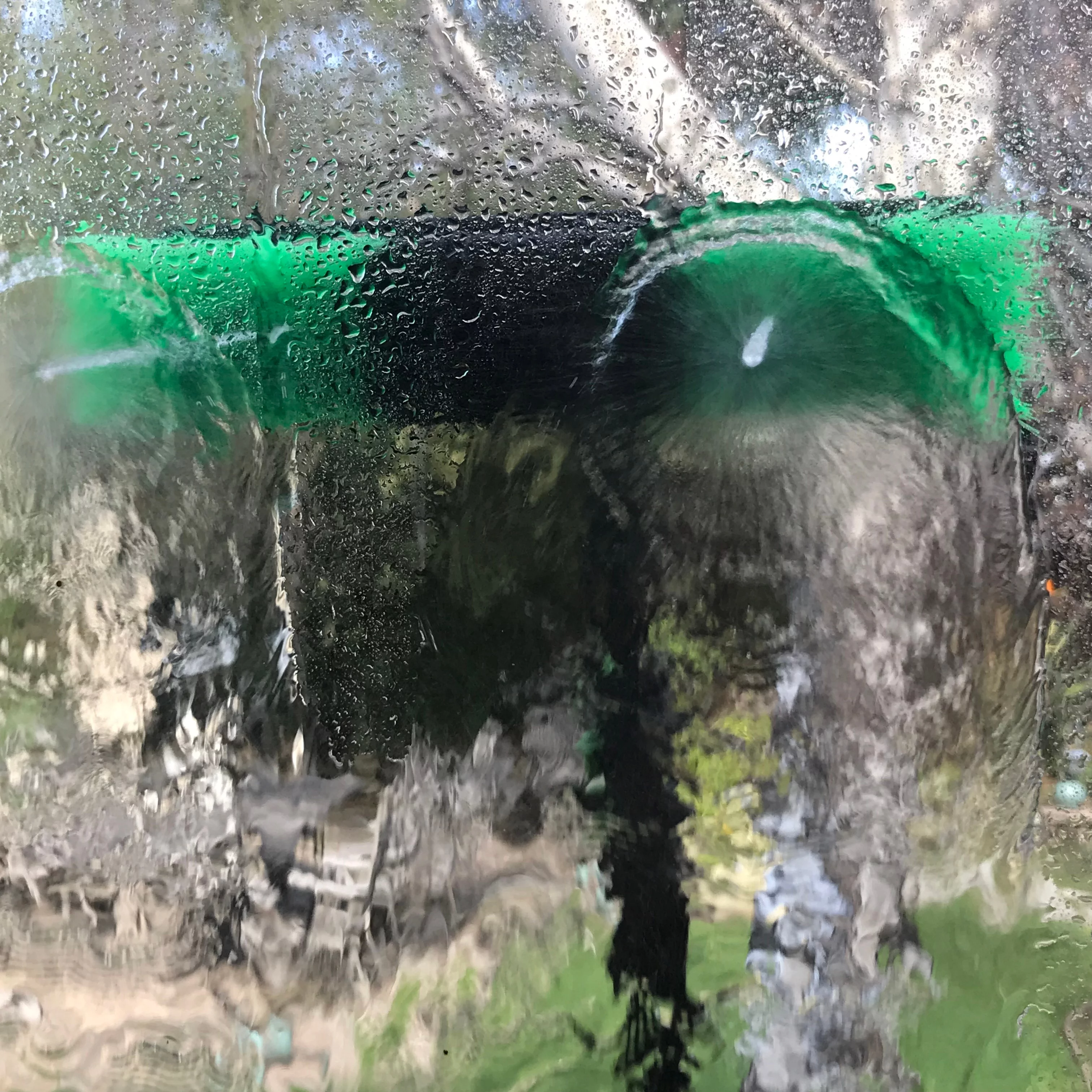 Window and Solar Panel Cleaning System: Rolling 11 Gallon Water Tank with 30 Foot Water Fed Pole