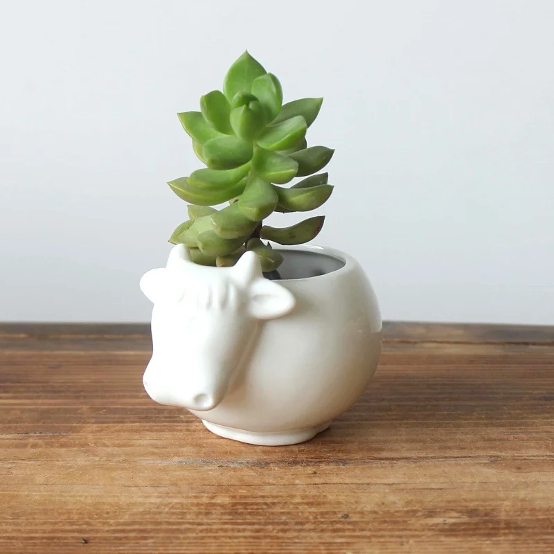 Medium-Temperature Ceramic Turtle Succulent Planter - Porcelain Succulent Plant Pot - Animal Planter Desktop Potted Plant
