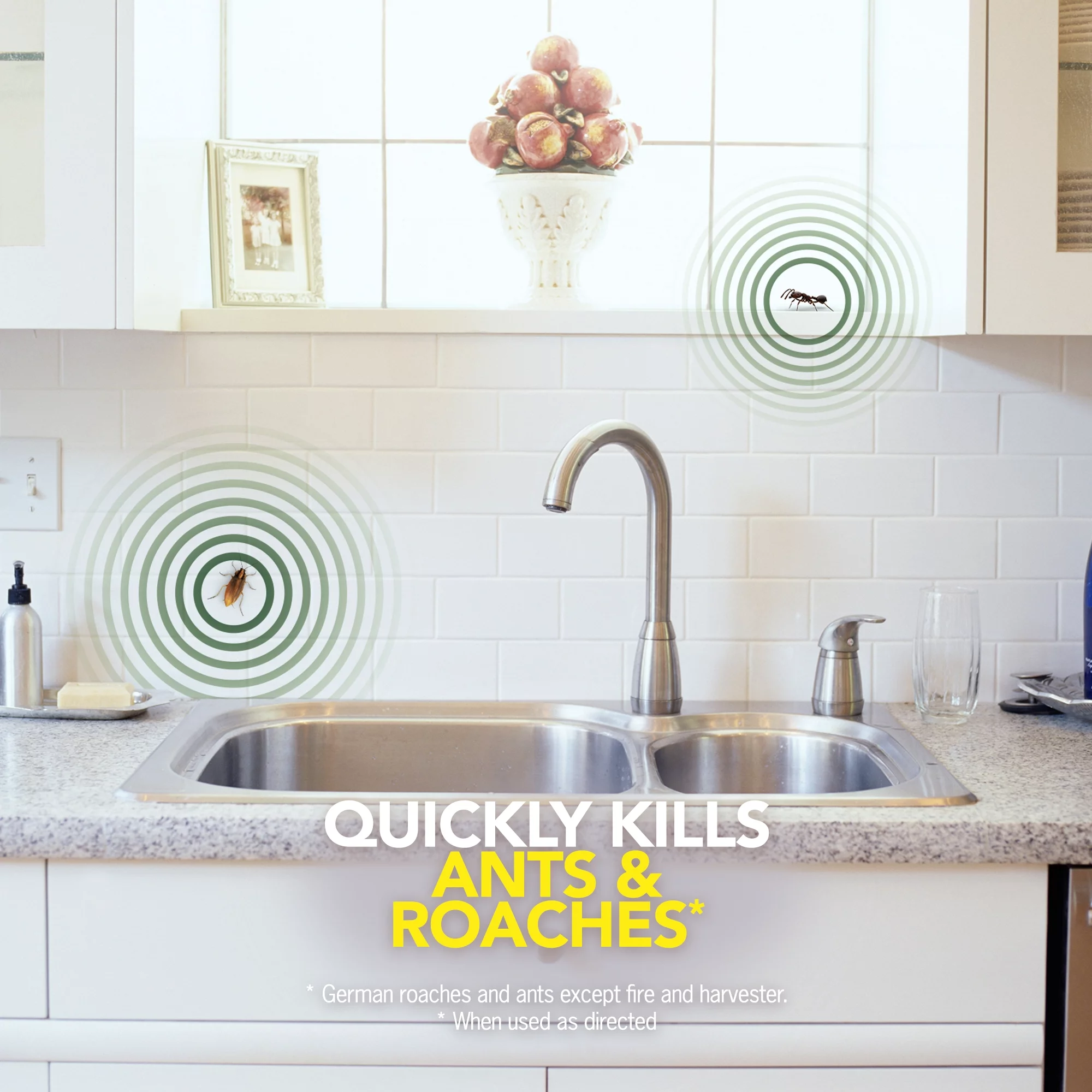 Raid Ant and Roach Killer, 11 OZ (Pack -12)