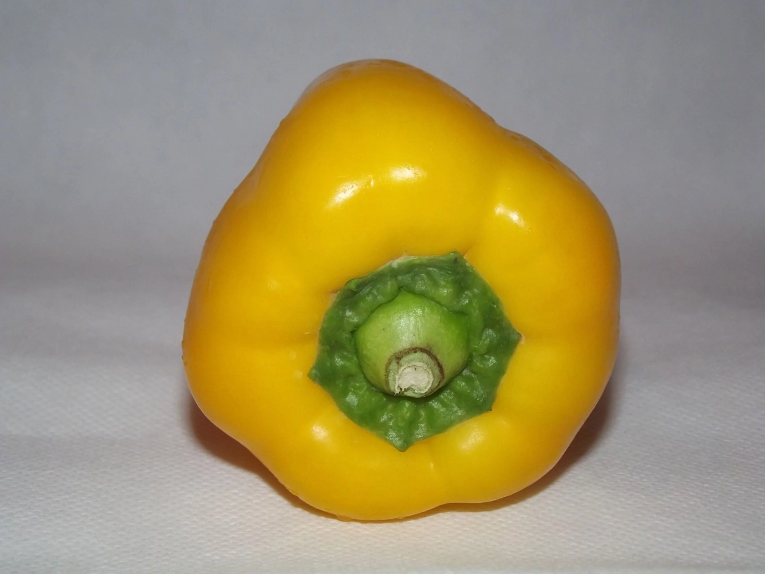 Golden California Wonder Bell Pepper/Perennial/Full Sun/30 Seeds 1/4 Gram/Zellajake Farm and Garden - B259