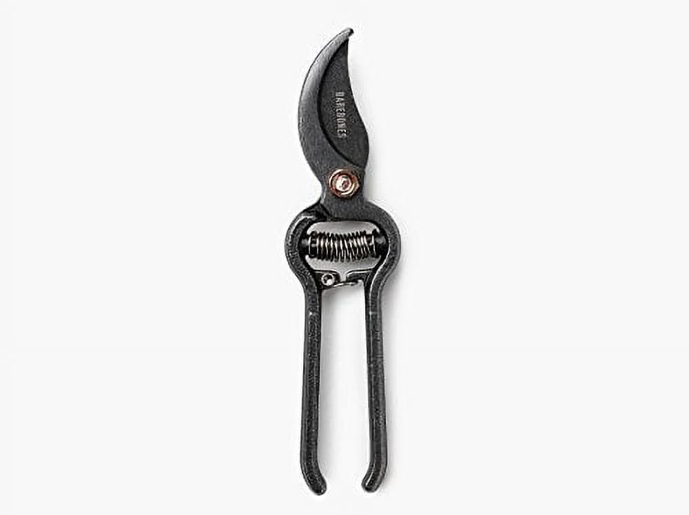 Barebones Pruner