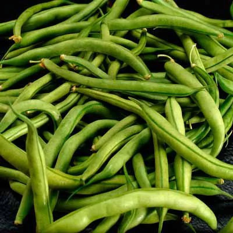 Vegan Green Snap Beans by   - 1lb Protein Rich