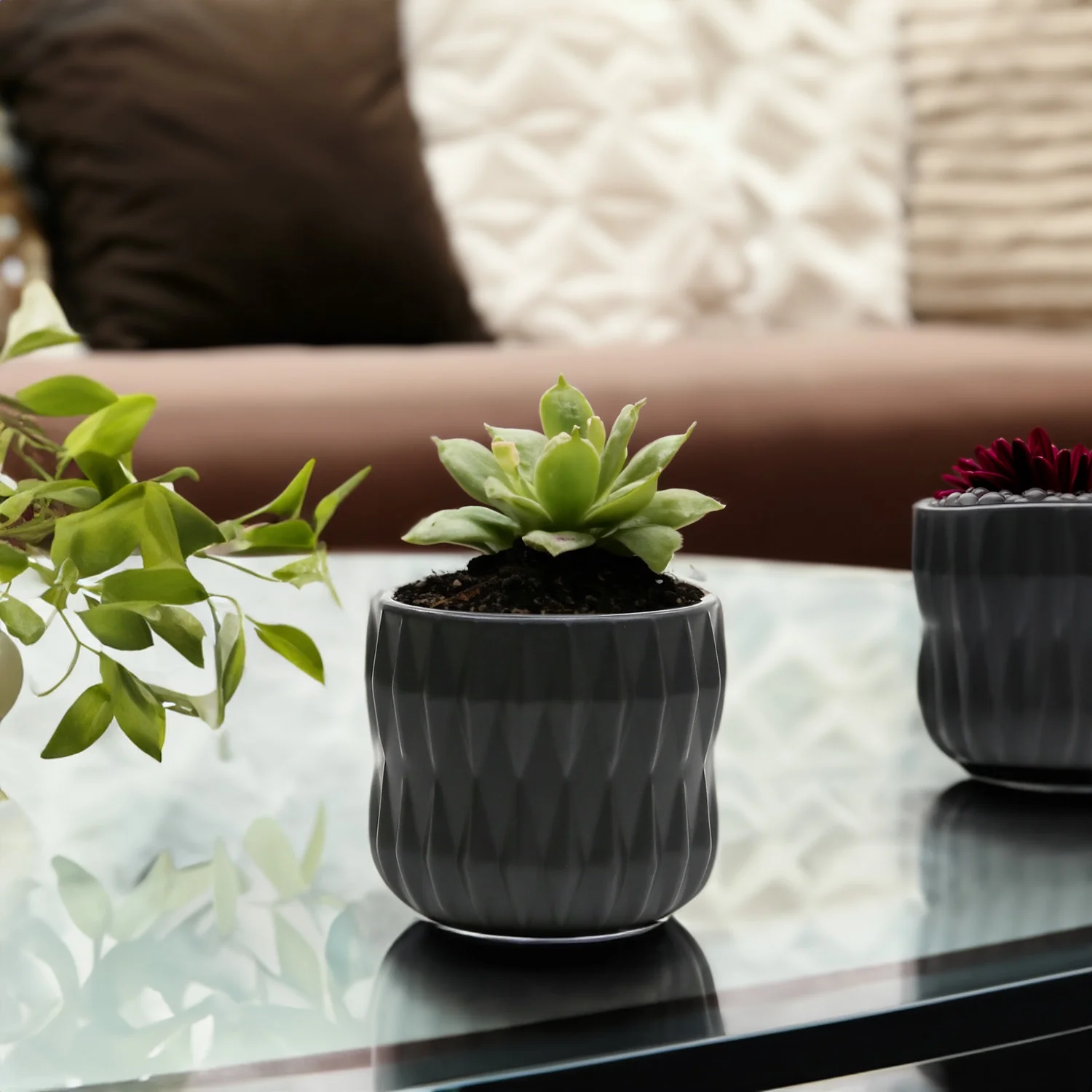 WGV Medium Unique Black Ceramic Pot - 5.5