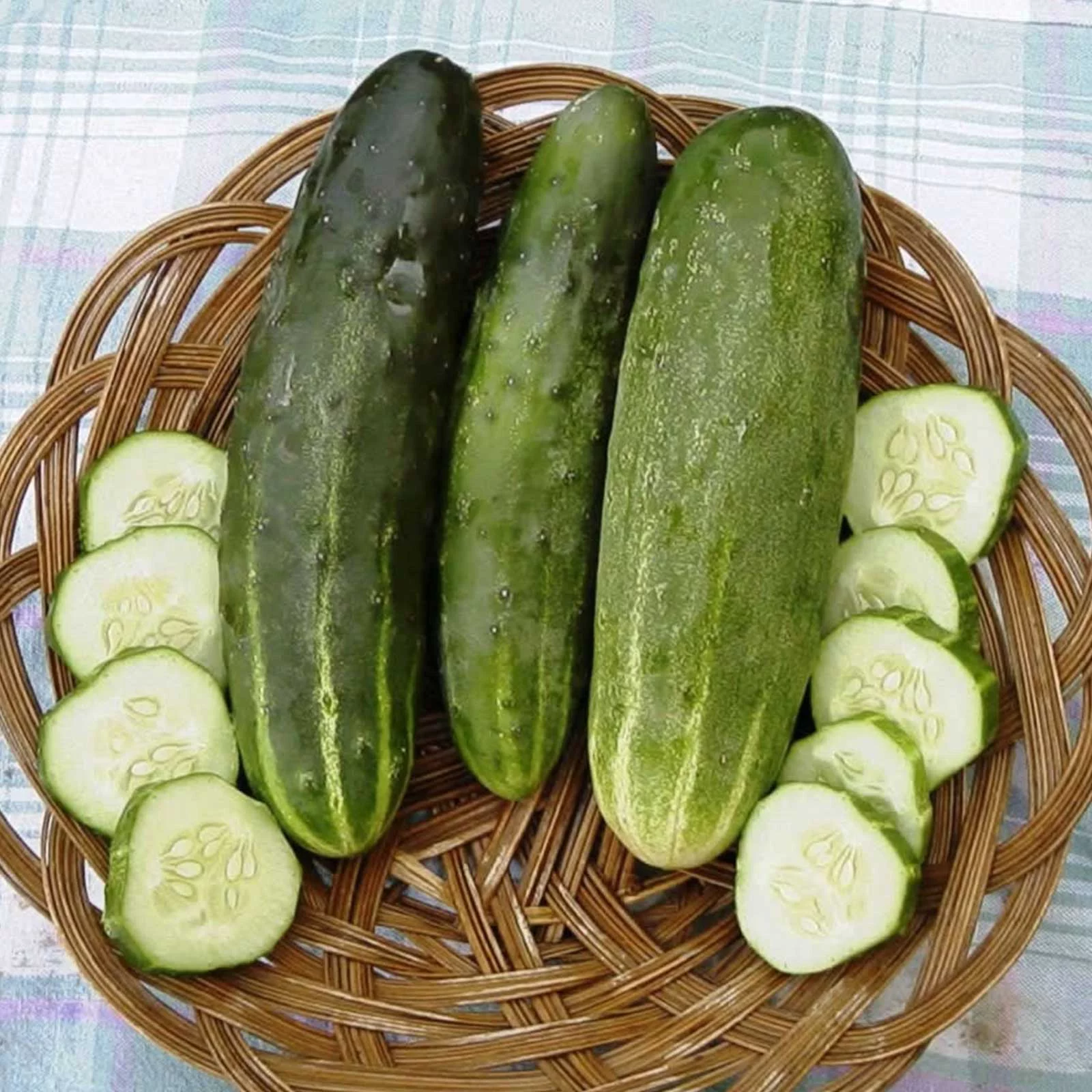 Ashley Cucumber Garden Seeds - 4 Lb - Non-GMO, Heirloom Vegetable Gardening Seed - Cucumis sativas