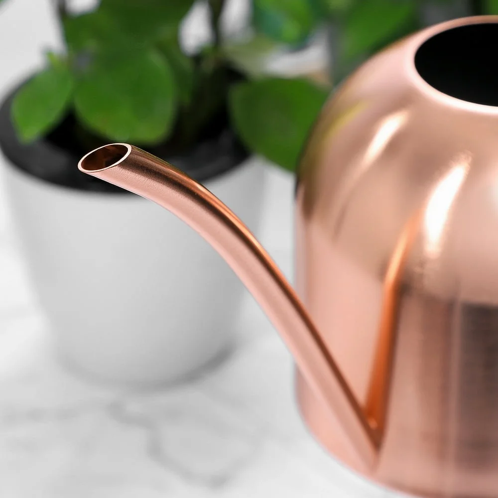 Yardwe 1000ml Stainless Steel Watering Can Indoor Plants Succulents Long Spout Watering Pot