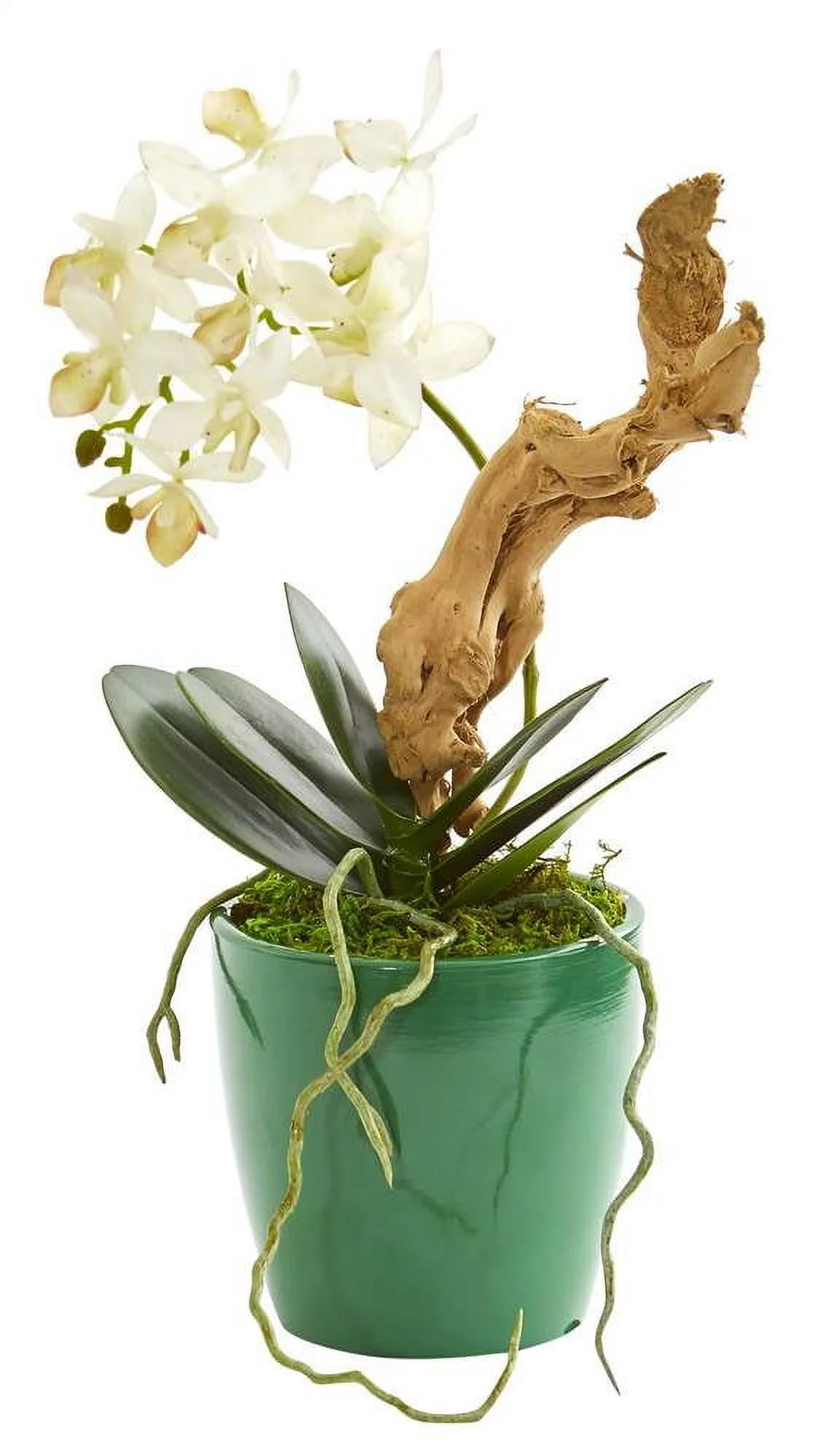 Mini Phalaenopsis Orchid Artificial Arrangement in Green Planter (Set of 2)