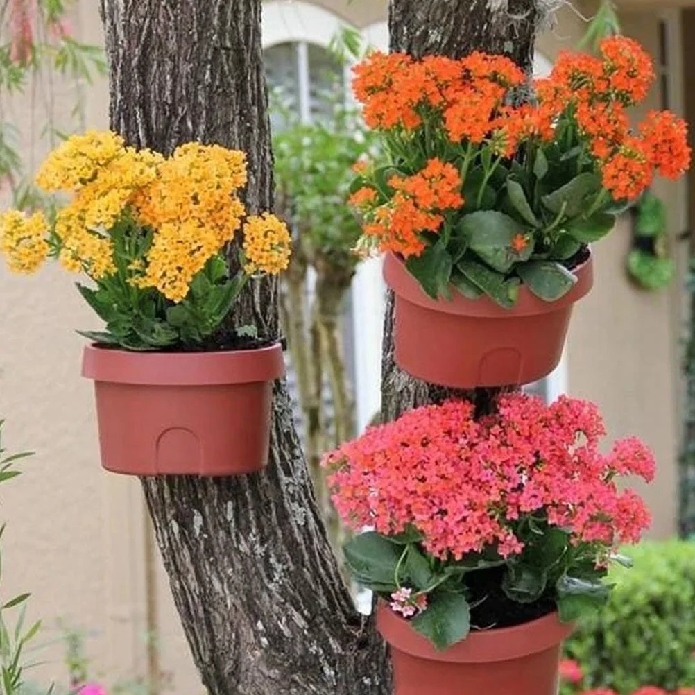 Gongxipen 3Pcs Wall-mounted Plant Pot Useful Flower Holder Practical Hanging Planter