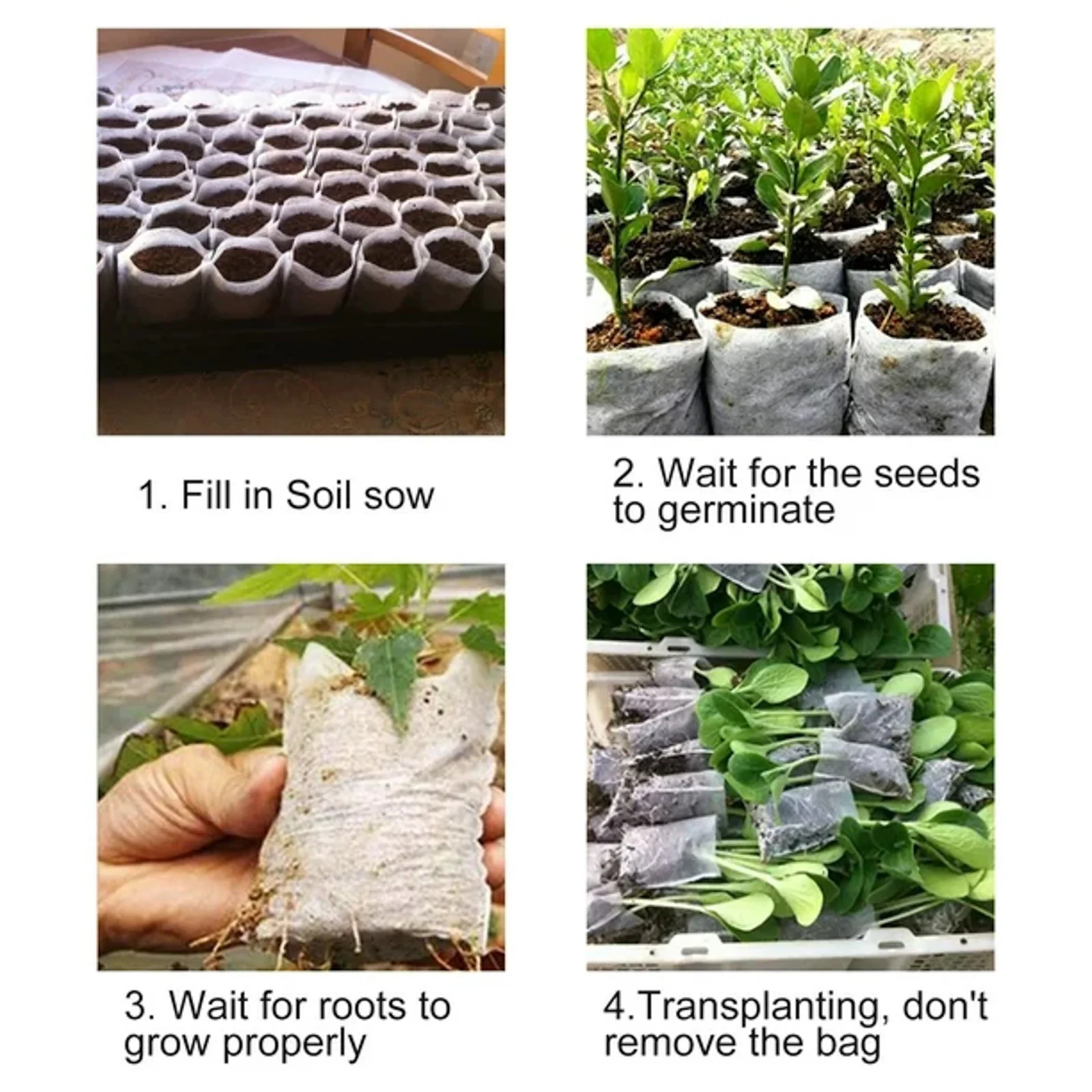 FHKOEGHS Betel Nut 100PCS Non Woven Nursery Bag Sets Family Garden Seedling Cultivation Thickened Sapling Bag Can Degrade Potted 4.