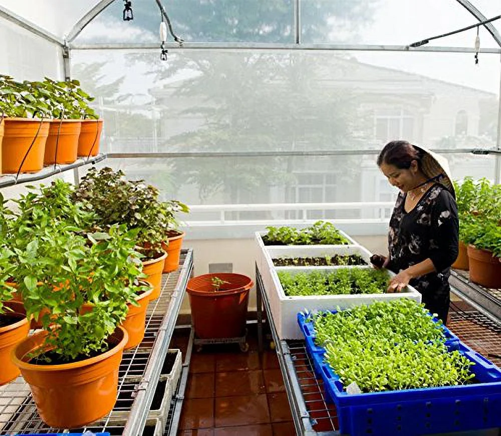 Greenhouse Plastic Film Clear Polyethylene 6 mil 4 Year UV Resistant Cover (8 ft Wide x 25 ft Long)