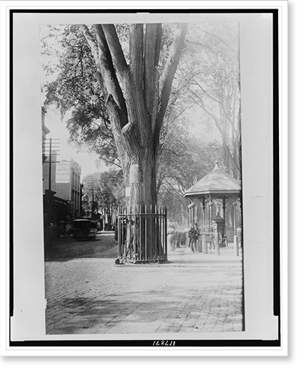 Historic Framed Print, The Franklin elm and town pump about 1880, 17-7/8