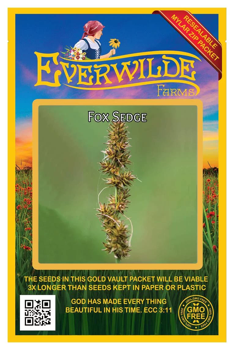 Everwilde Farms - 1000 Fox Sedge Native Grass Seeds - Gold Vault Jumbo Bulk Seed Packet