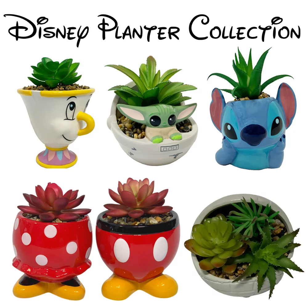 Star Wars Ceramic Planter with Faux Succulent Houseplant 4 inches