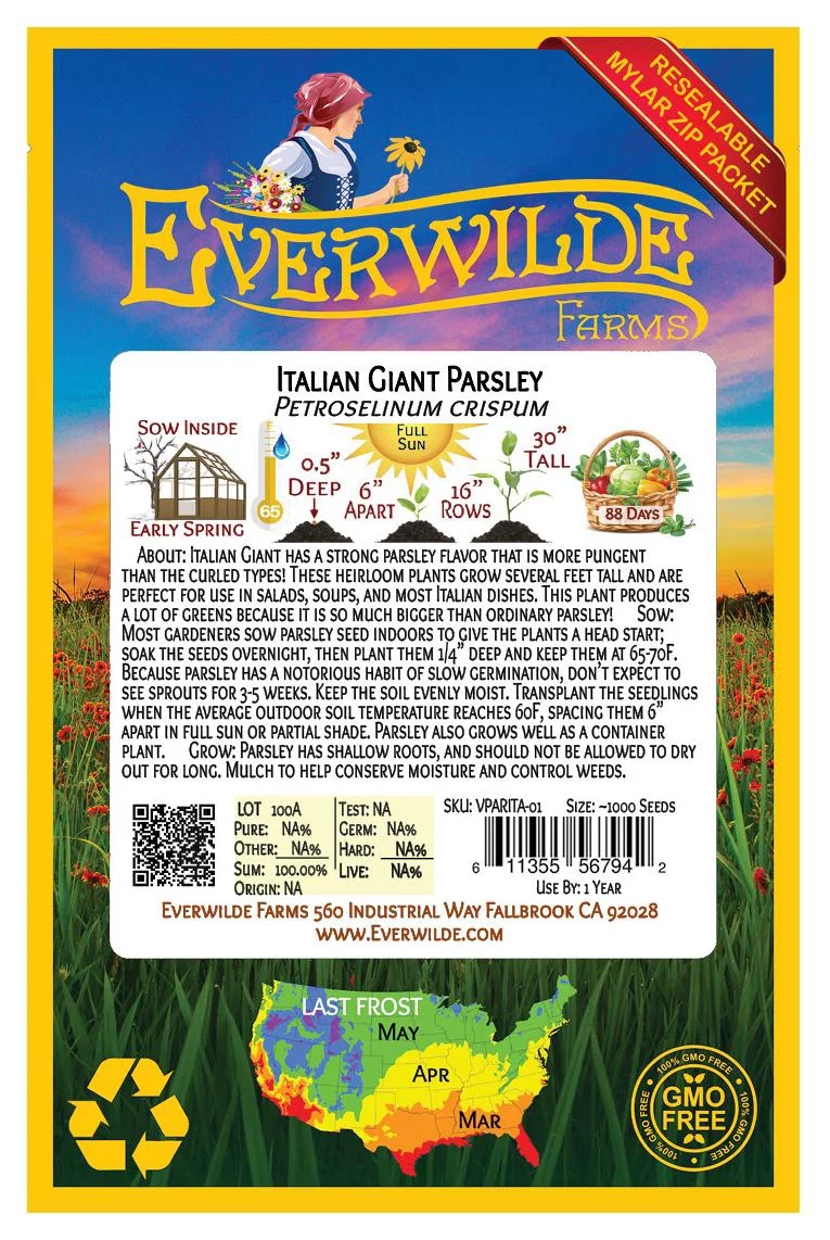 Everwilde Farms - 1000 Italian Giant Parsley Seeds - Gold Vault Jumbo Bulk Seed Packet