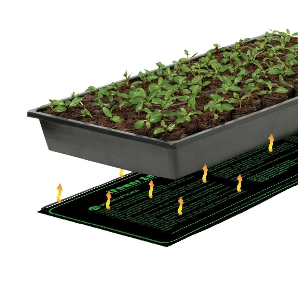 iPower 2 Pcs Warm Hydroponic Seedling Heat Mat and Digital Thermostat Control Combo Set, Black