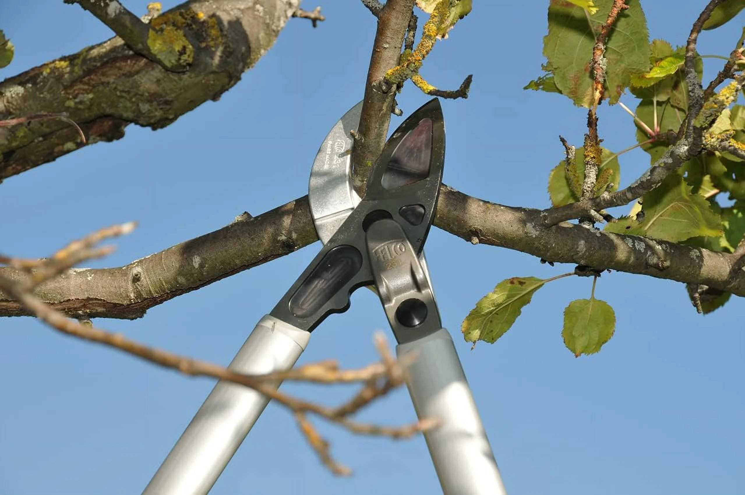F231 231, Two-Handed, Lever-Action, Long Lopper, Style, Anvil Curved Blade, Red/Gray