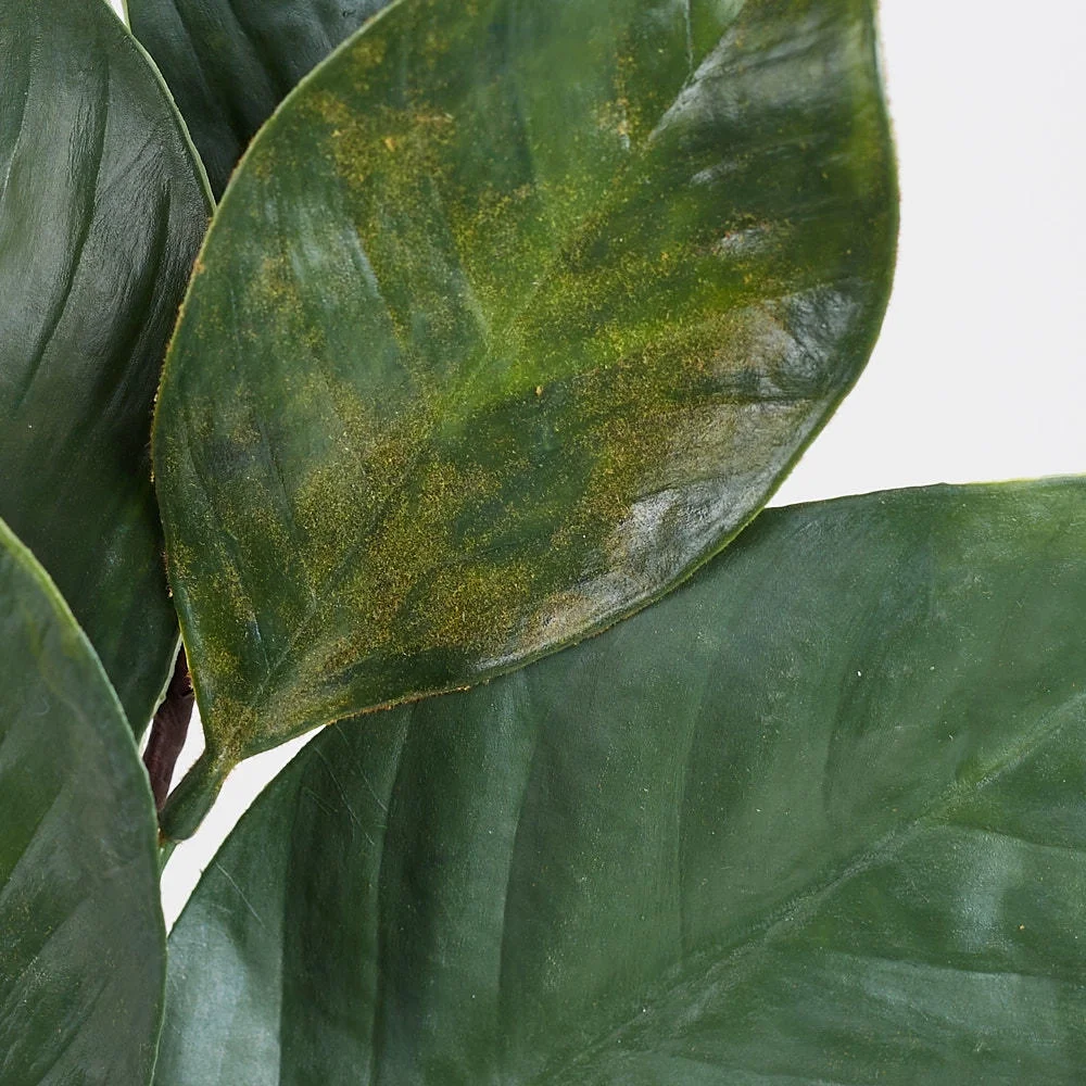 American Magnolia Leaf Sprays (2 Pack): A Touch of Southern Charm