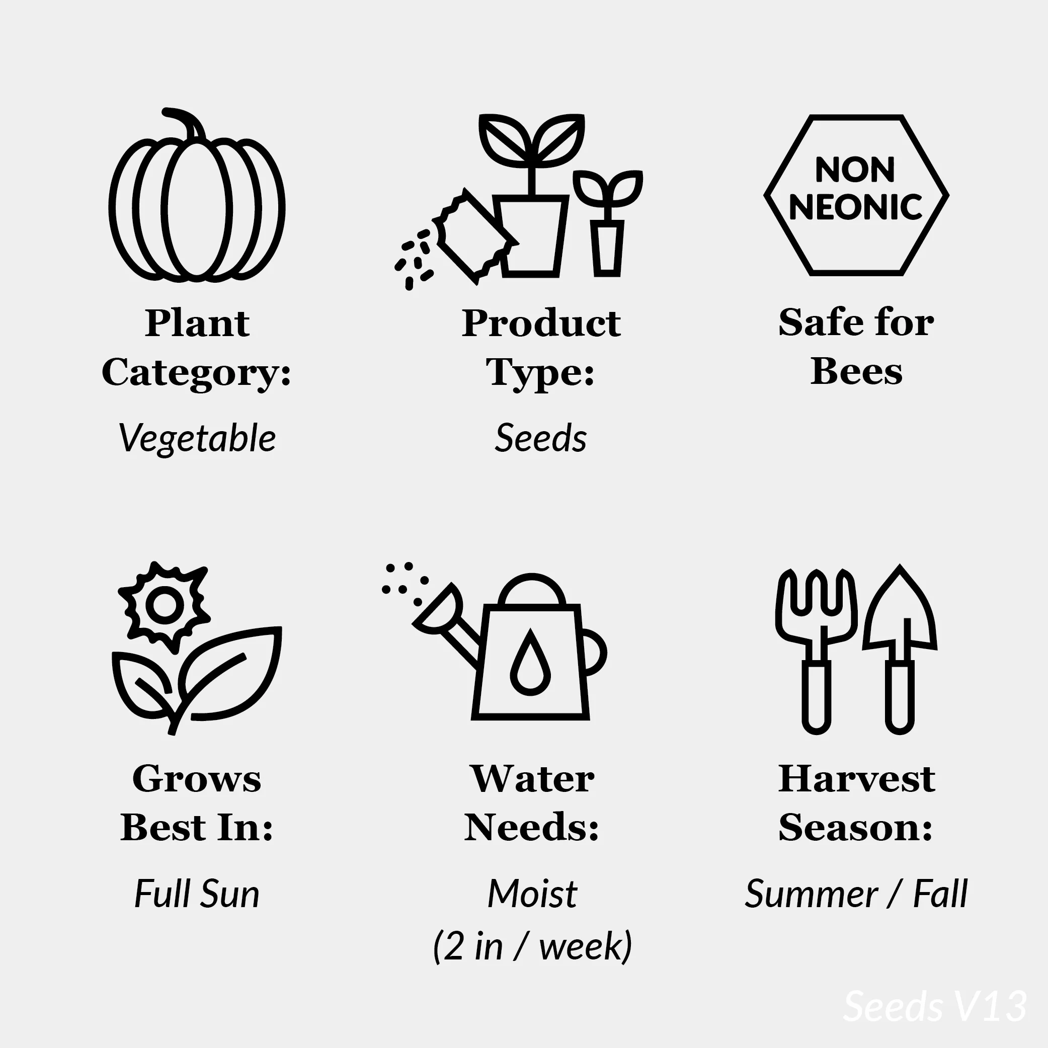 American Seed 1G Cabbage Early Golden Acre Plant Seeds Full Sun