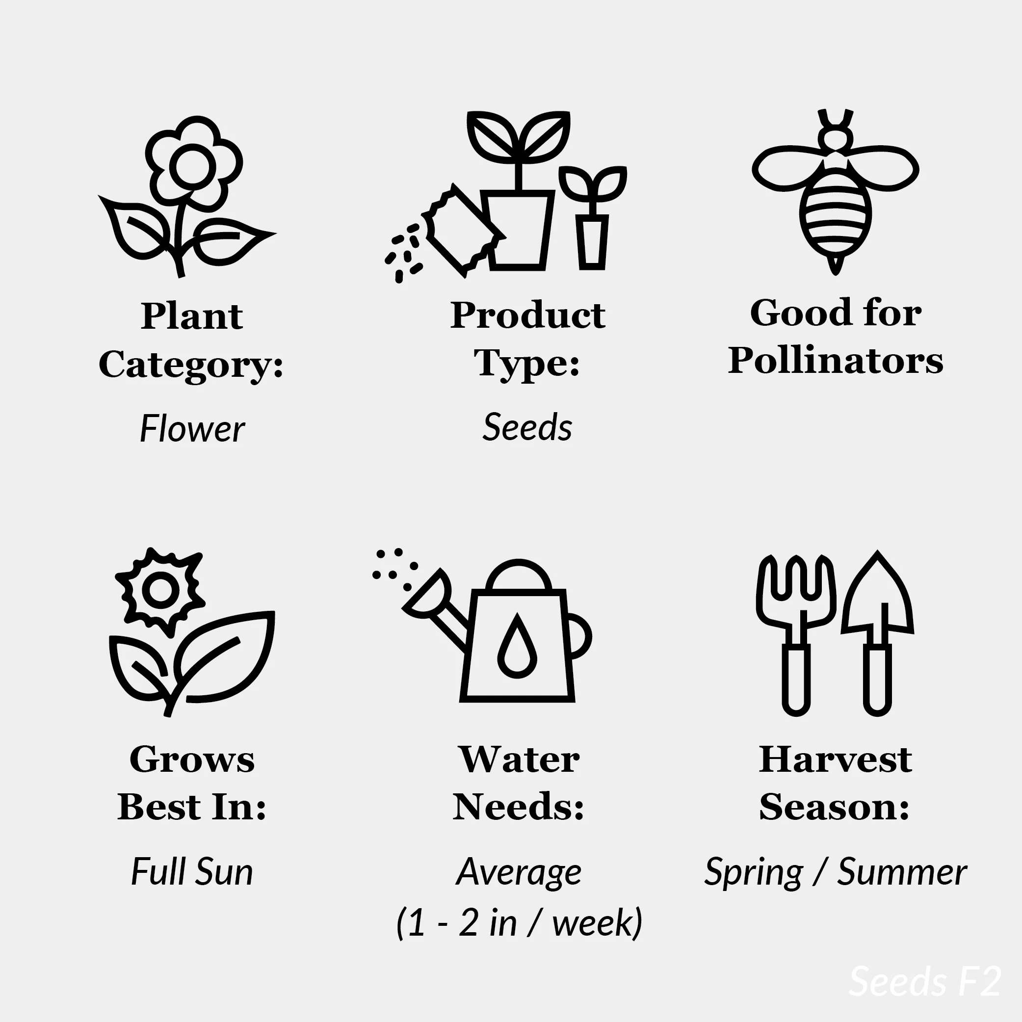 American Seed 1G Wildflower Perrennial Mix Flower Seeds Full Sun