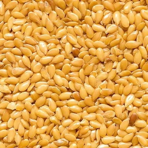 CHUXAY GARDEN Golden Common Flax Seeds for Planting Linum Usitatissimum,Linseed Oil Plant 30 Seeds Annual Herb Plant Yellow Flower Seeds High Germination Rate Fast Growing Non-GMO Outdoor